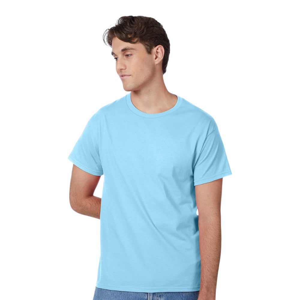Hanes 5250 Authentic T-Shirt – The Park Wholesale