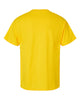 Hanes 5280 Essential-T, Blank T-Shirt