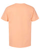 Hanes 5280 Essential-T, Blank T-Shirt