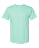 Hanes 5280 Essential-T, Blank T-Shirt