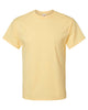 Hanes 5280 Essential-T, Blank T-Shirt