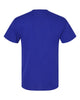 Hanes 5280 Essential-T, Blank T-Shirt