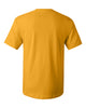 Hanes 5280 Essential-T, Blank T-Shirt