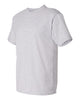 Hanes 5280 Essential-T, Blank T-Shirt