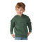 Independent Trading Co PRM10TSB Toddler Special Blend Hooded Raglan Sweatshirt