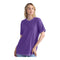 Next Level 3600SW Soft Wash T-Shirt
