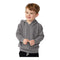 Independent Trading Co PRM10TSB Toddler Special Blend Hooded Raglan Sweatshirt