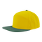 Zapped Headwear Osprey 7 Panel Perforated Cap