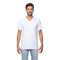 Royal Apparel Unisex Organic Short Sleeve V-Neck T-Shirt – Style 5055ORG Made in USA