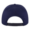 OTTO 19-6 OTTO CAP 6 Panel Low Profile Baseball Cap