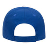 OTTO 23-434 OTTO CAP® 6 Panel Low Profile Baseball Cap