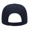 OTTO 23-434 OTTO CAP® 6 Panel Low Profile Baseball Cap
