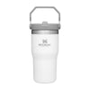 Stanley IceFlow Flip Straw Tumbler 20 oz - 1603-04