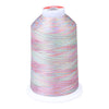 Gingko 646 PolySHINE #40 5000M Embroidery Threads- Multi Colour