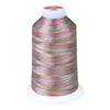 Gingko 646 PolySHINE #40 5000M Embroidery Threads- Multi Colour