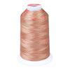 Gingko 646 PolySHINE #40 5000M Embroidery Threads- Multi Colour