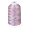 Gingko 646 PolySHINE #40 5000M Embroidery Threads- Multi Colour