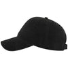 OTTO Cap 18-3 6 Panel Low Profile Style Dad Hat
