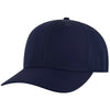 OTTO Cap 27-1 6 Panel Mid Profile Baseball Cap