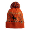 Spacecraft Wild Pom Beanie SPC12