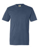 Comfort Colors 4017 Unisex Garment-Dyed Lightweight T-Shirt