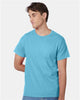Hanes 5250 Unisex Authentic T-Shirt