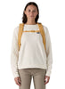 Patagonia Refugio Daypack Backpack 26L
