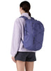 Patagonia Refugio Daypack Backpack 30L