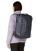 Patagonia Black Hole Mini MLC 30L