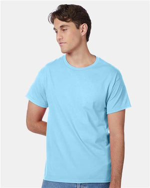 Hanes 5250 Unisex Authentic T-Shirt - 