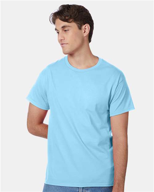 Hanes 5250 Unisex Authentic T-Shirt