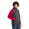Sport-Tek ST249 Tech Fleece Colorblock 1/4-Zip Hooded Sweatshirt