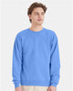 Hanes P160 Unisex EcoSmart® Crewneck Sweatshirt
