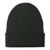 Port Authority C880 C-FREE Recycled Beanie