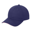 Port Authority C829 Americana Flag Sandwich Cap