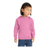 Port & Company CAR78TH Toddler Core Fleece Pullover Hooded Sweatshirt