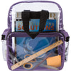 Nissun Clear Backpack CBP3121