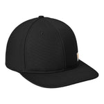 Carhartt CT106665 Ashland Cap