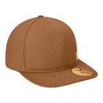 Carhartt CT106665 Ashland Cap