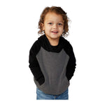Independent Trading Co PRM10TSB Toddler Special Blend Hooded Raglan Sweatshirt