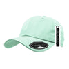 AcademyFits 2011ST P-Nylon Dad Hat