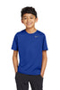 Nike DV7317 Youth Team rLegend Tee