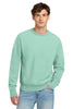 Champion GDS149 Reverse Weave Garment-Dyed Crewneck Sweatshirt