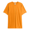 Hanes 4820 Cool DRI Performance T-Shirt