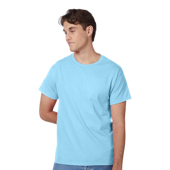 Hanes 5250 Authentic T-Shirt