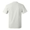 Hanes 5250 Authentic T-Shirt