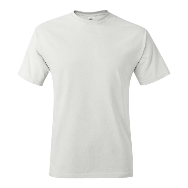 Hanes 5250 Authentic T-Shirt