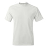 Hanes 5250 Authentic T-Shirt