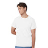 Hanes 5250 Authentic T-Shirt