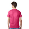 Hanes 5250 Authentic T-Shirt